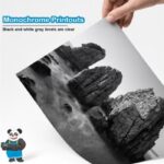 ⁦حبر أستا 106A أسود⁩ - الصورة ⁦2⁩